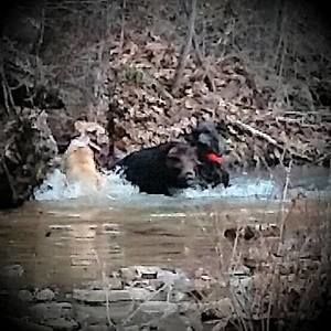 Meet your Posher, Robert